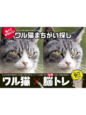 cover image of ワル猫まちがい探し